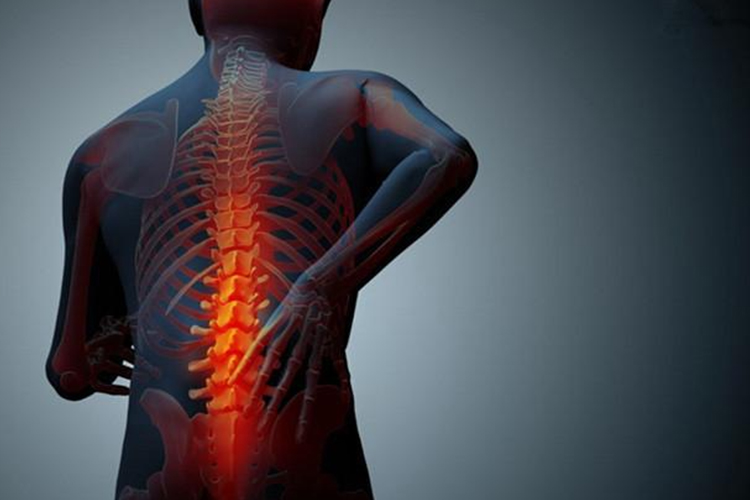 背部脊椎中间部位疼痛图