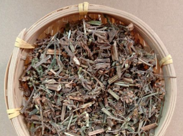 蛤蟆草图 蛤蟆草图