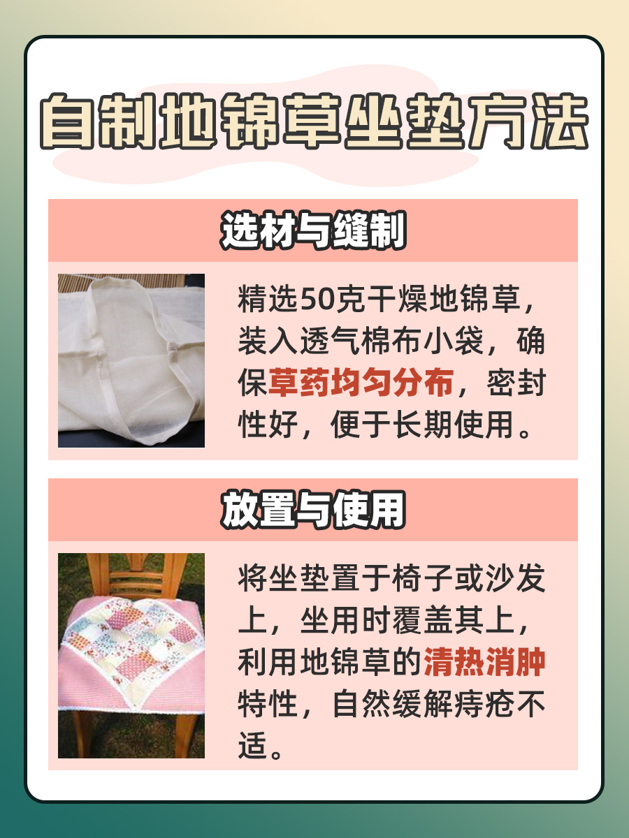 地锦草治痔疮，实用攻略在此