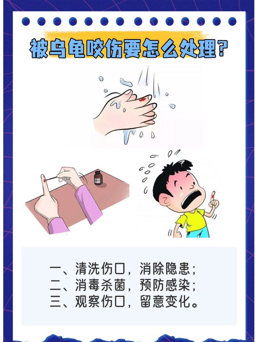 疫苗接种篇|被乌龟咬了需要打疫苗吗？