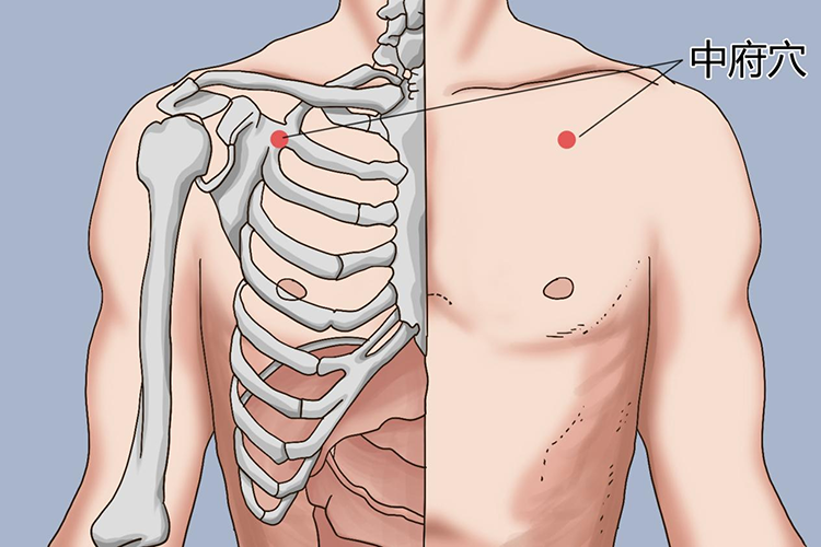 中府穴位置图