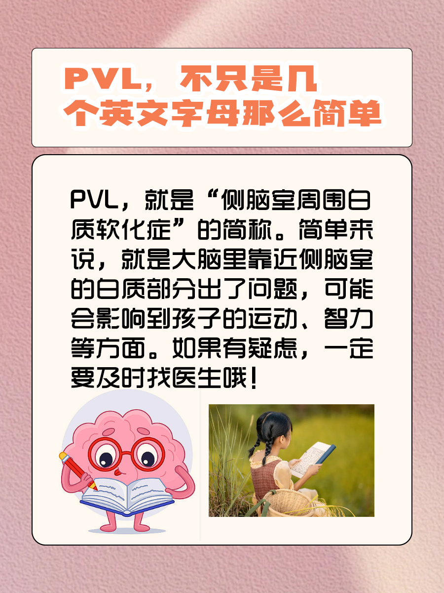 PVL，不只是几个英文字母那么简单