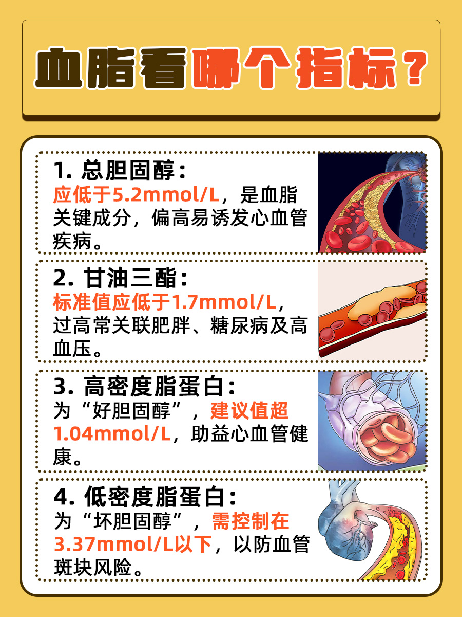 血脂看哪个指标，一文解析