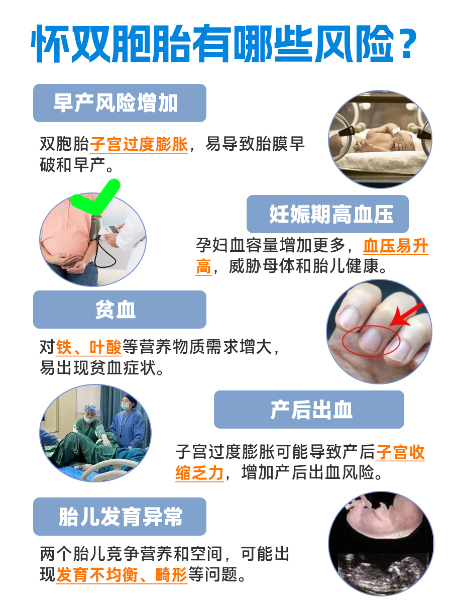 必知!双胞胎的形成,一个受精卵or两个受精卵