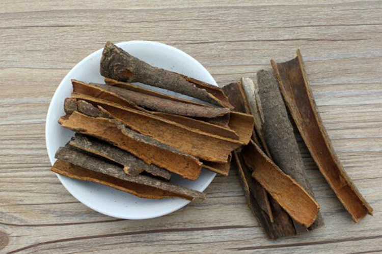 川桂皮图 川桂皮图