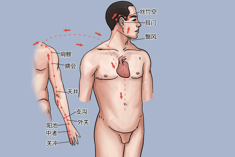 手少阳三焦经右臂循行图