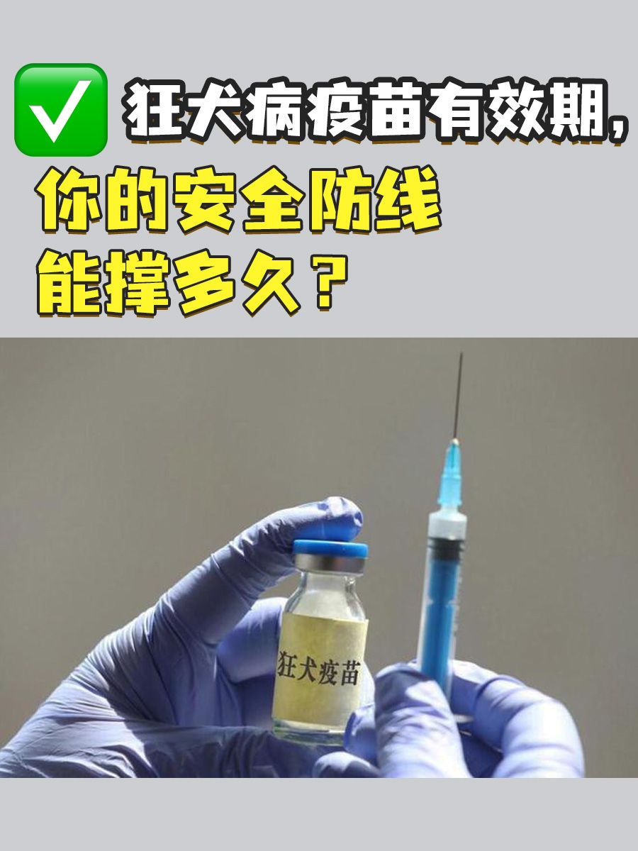 狂犬病疫苗有效期，你的安全防线能撑多久？