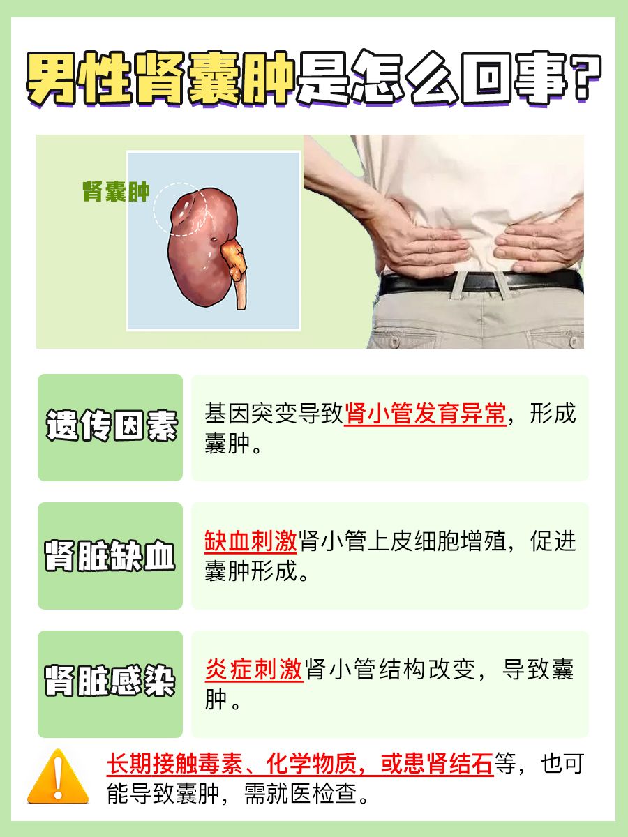 男性肾囊肿的背后真相，你了解多少？有无危险？