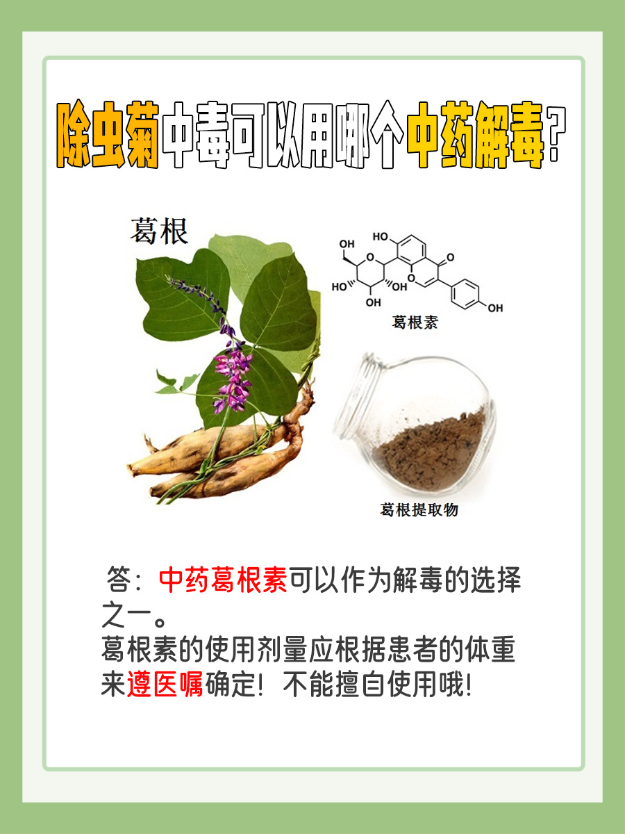 除虫菊对人体的毒性解析，以及中医防护建议！