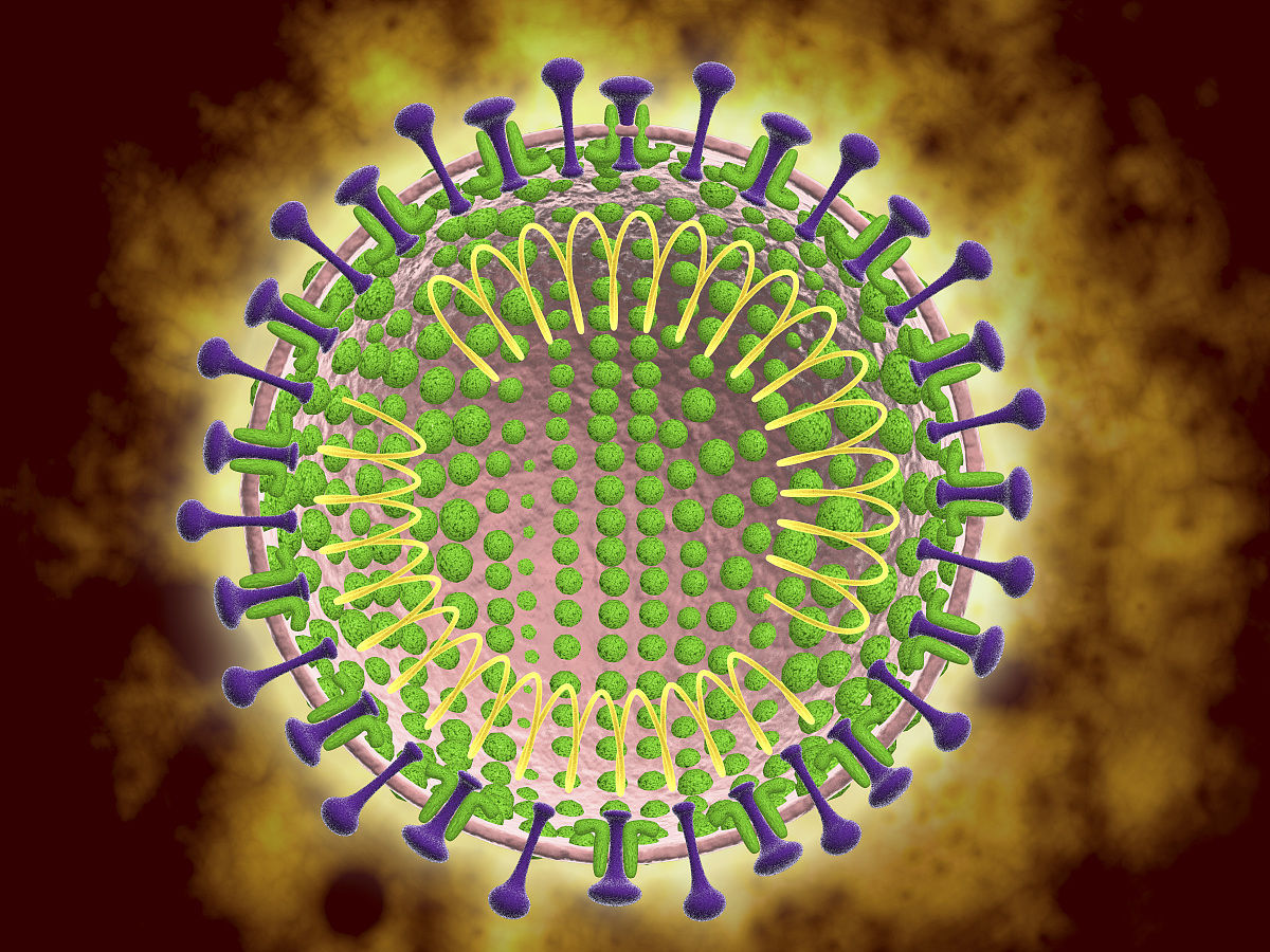 图 1 新型冠状病毒的超微结构图