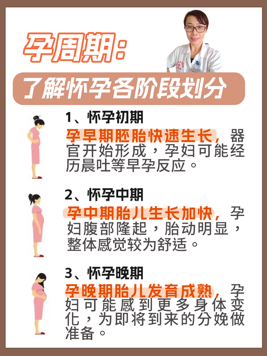孕周期：了解怀孕各阶段划分