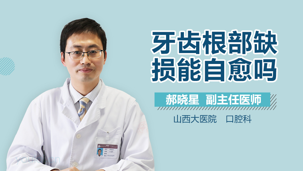 牙齿根部缺损能自愈吗