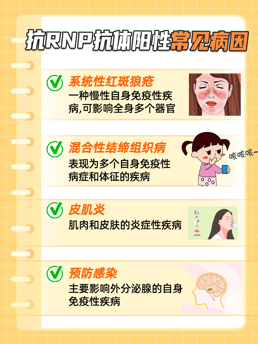 医生揭秘：抗RNP抗体阳性是什么意思？