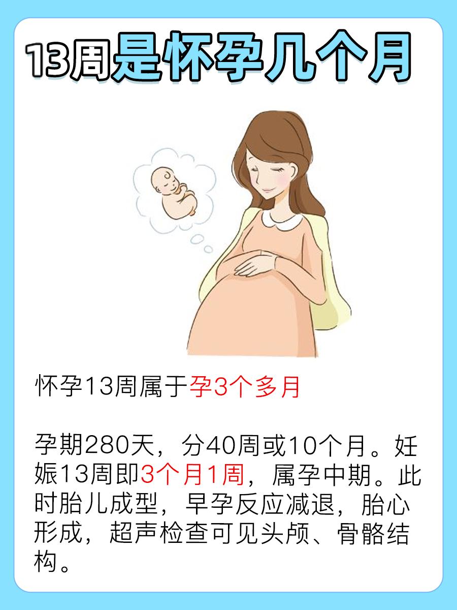 了解一下：13周是怀孕几个月