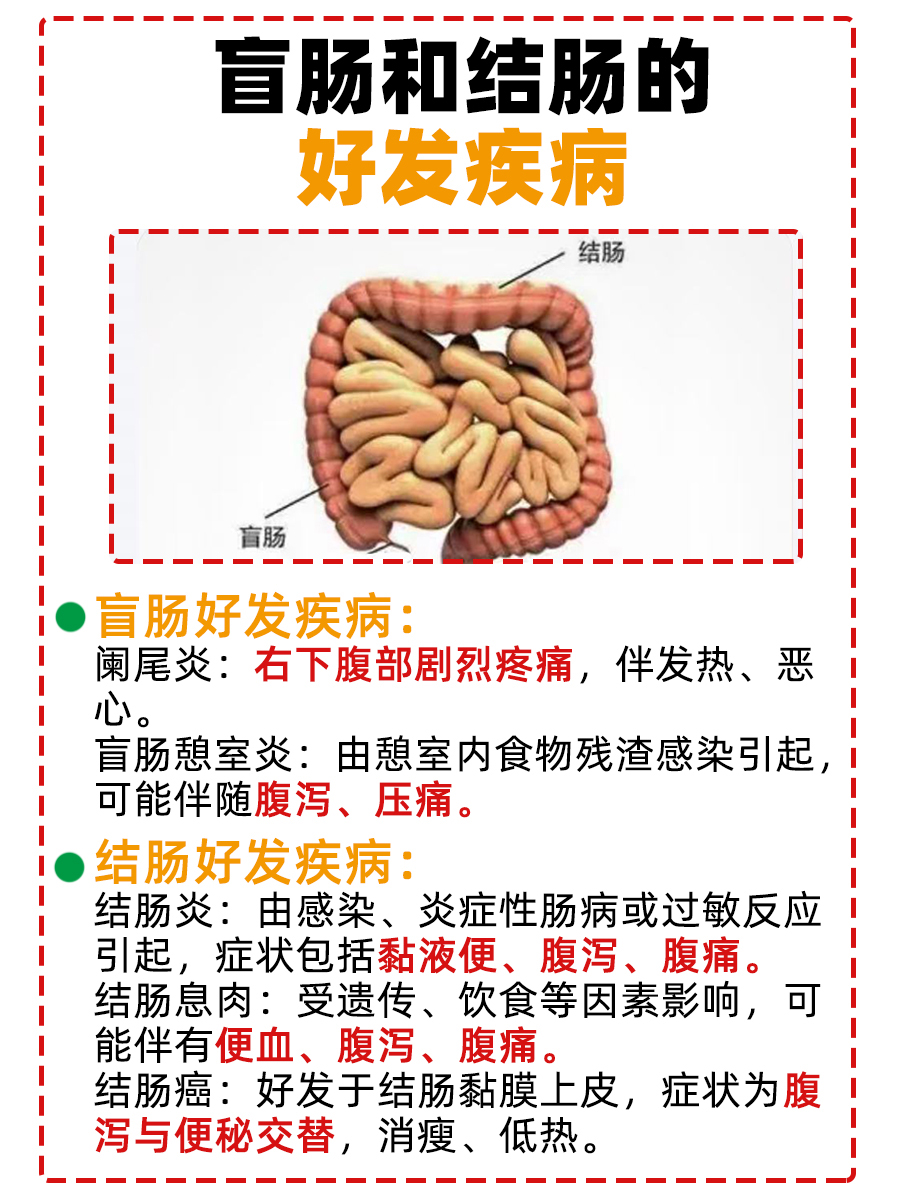 盲肠与结肠：大肠中的“双生子”？教你如何区分