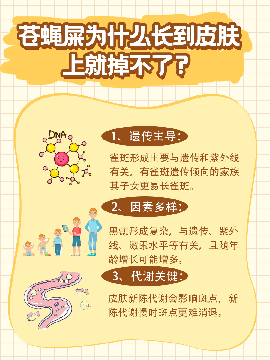 苍蝇屎为何长到皮肤上就掉不了？一文全知晓
