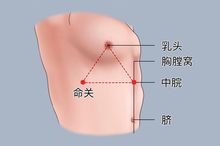 经络中命关穴位置图