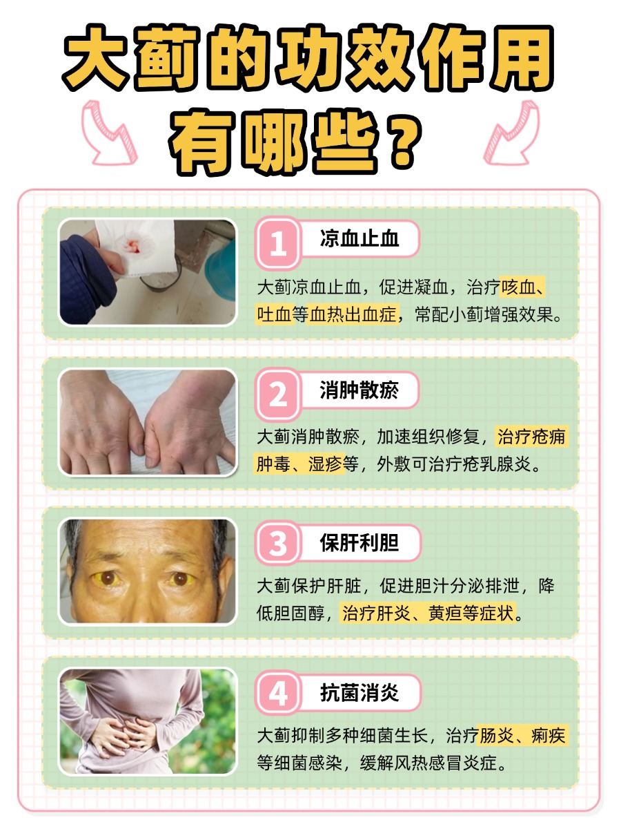 必知！大蓟的强大作用与功效盘点