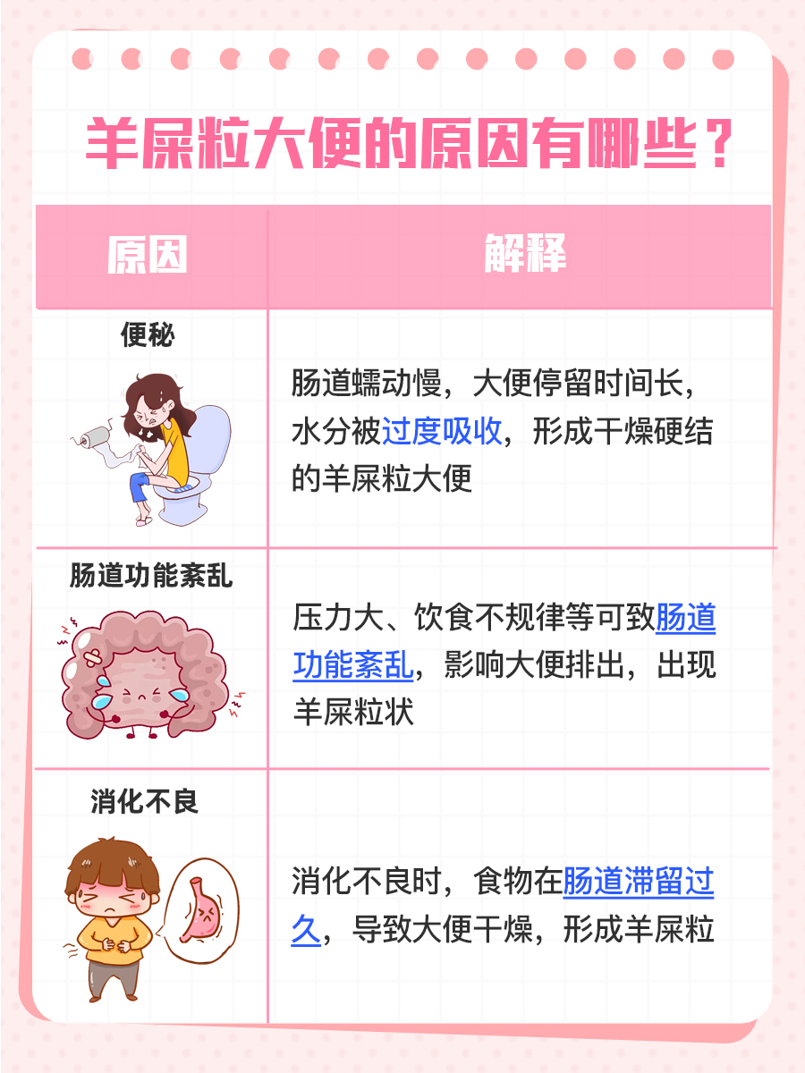 羊屎粒大便怎么回事,你知道吗?