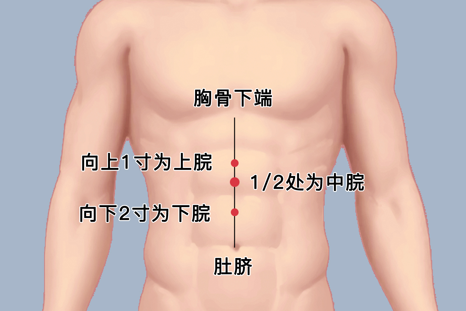 肚子胀气按摩哪个部位图解