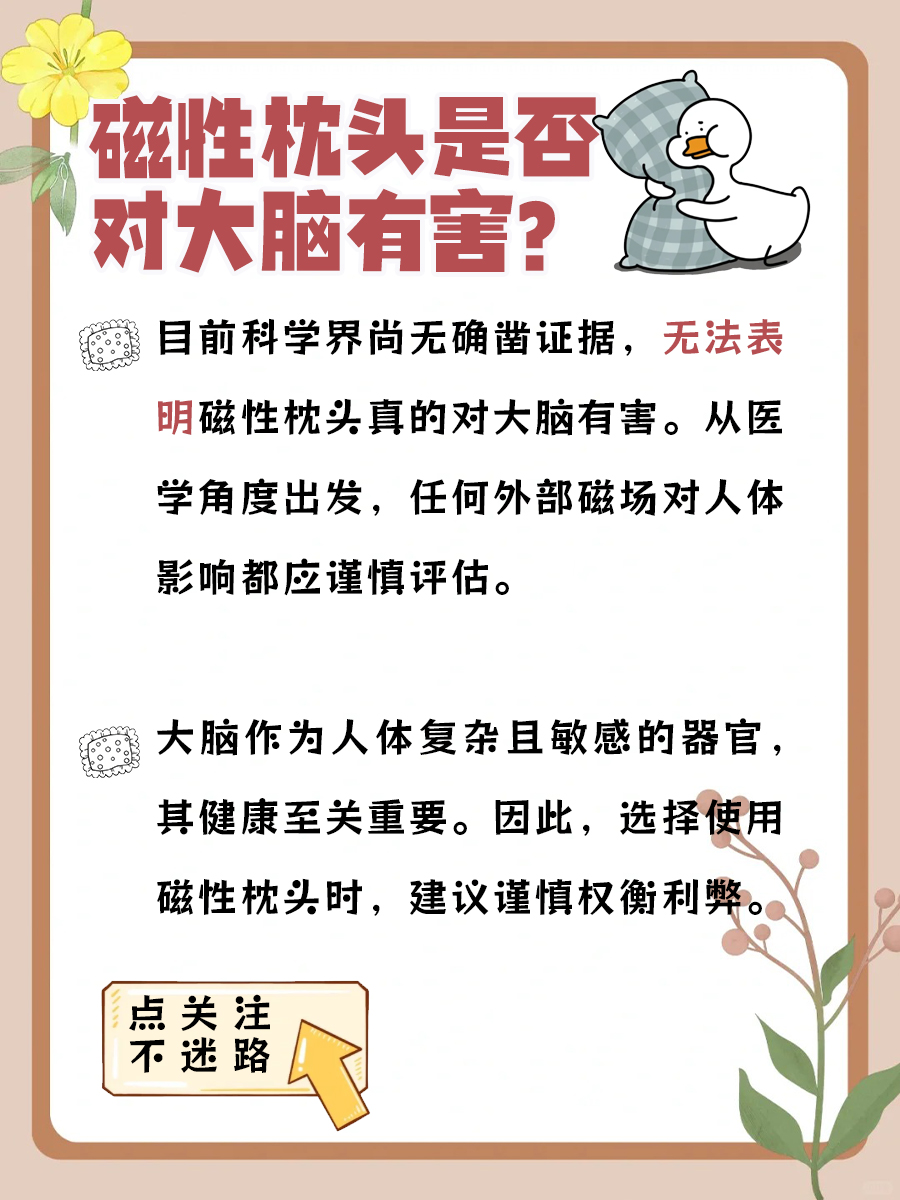 揭秘：磁性枕头真的伤大脑吗？