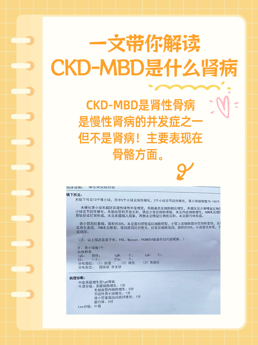 一文带你解读CKD-MBD是什么肾病