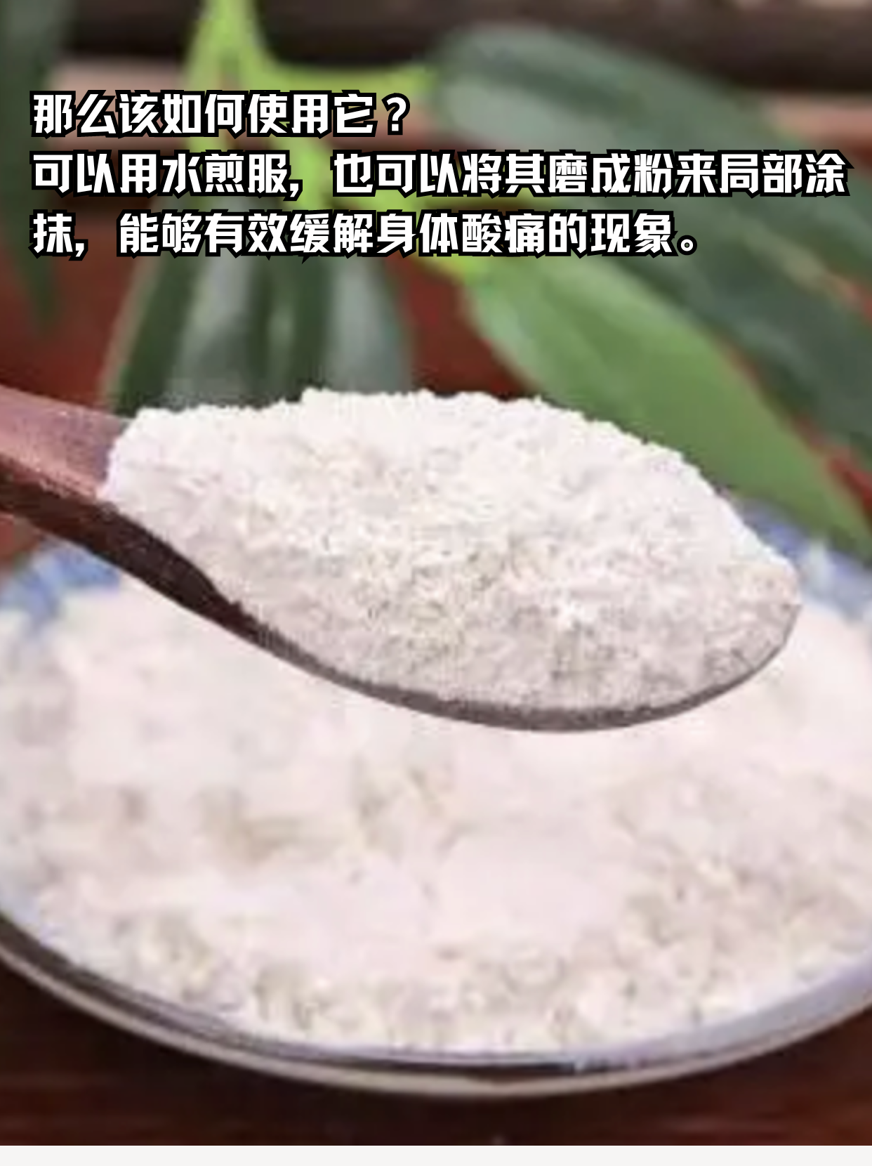 每日学习一味中药——煅牡蛎