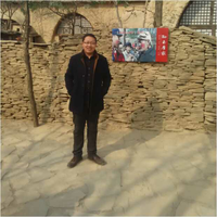 杨鹏飞
