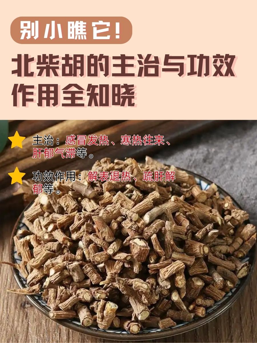 别小瞧它!北柴胡的主治与功效作用全知晓