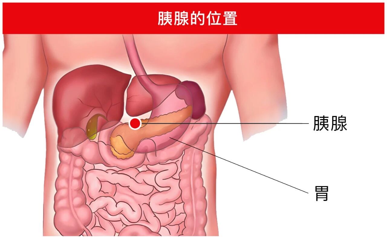微信图片_2026-09-30_115204_779.jpg