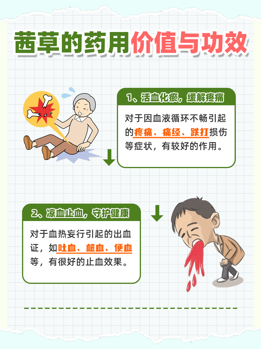 中医瑰宝——鸿茅的药用价值与功效