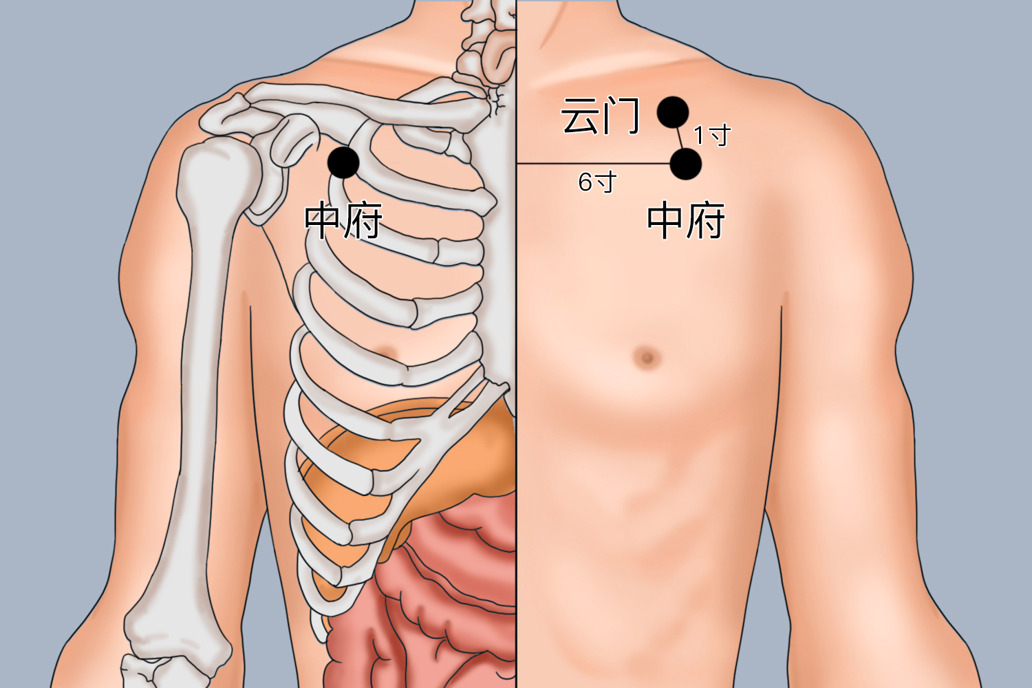 云门中府位置图