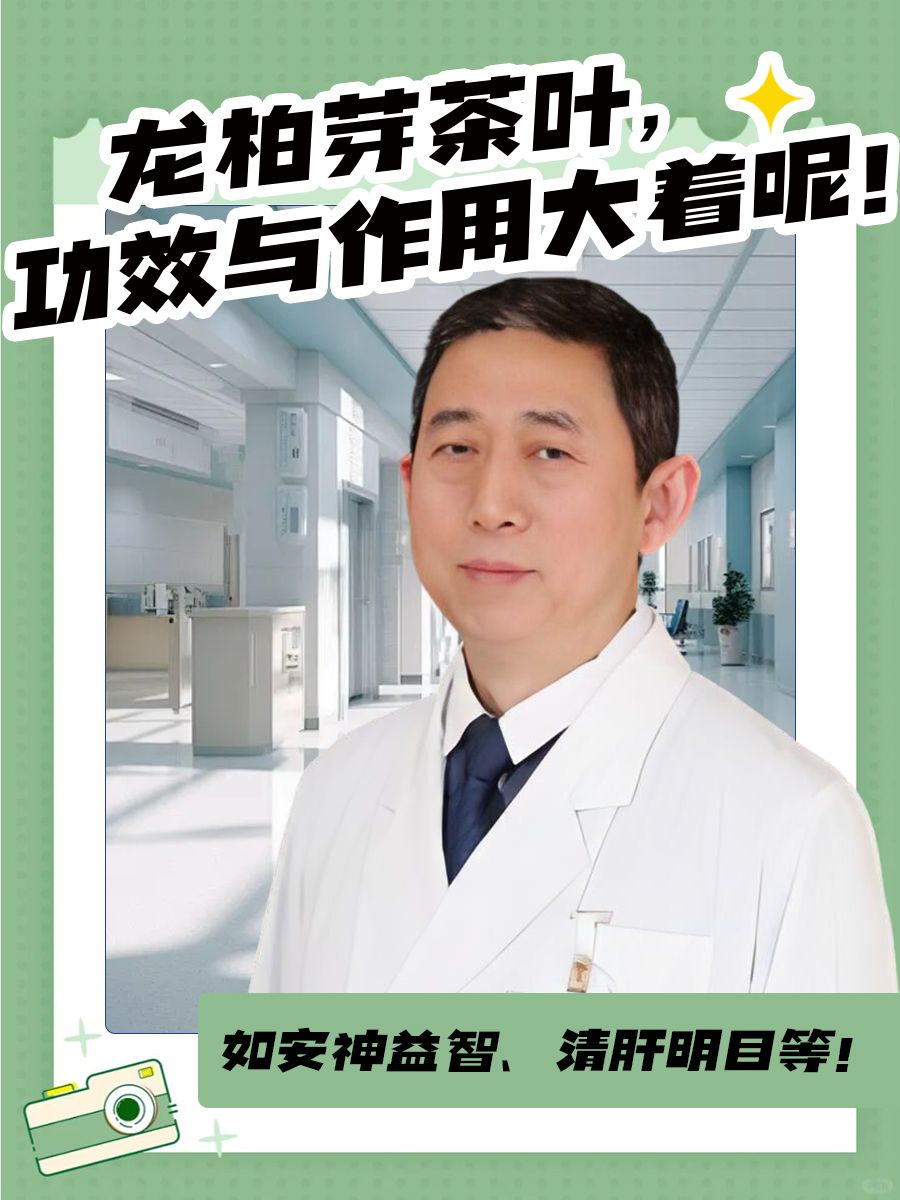 龙柏芽茶叶，功效与作用大着呢！