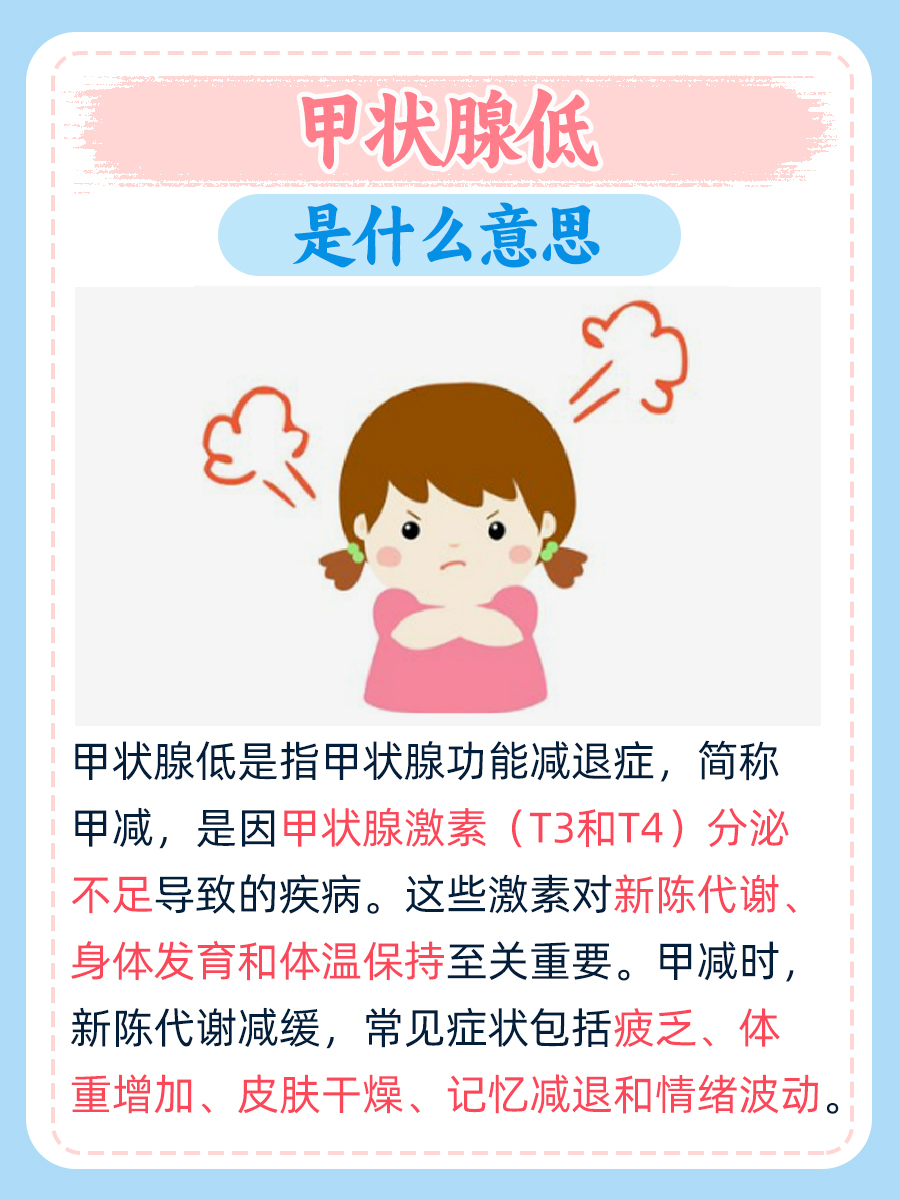 甲状腺低是什么？探究甲状腺功能不足的真相