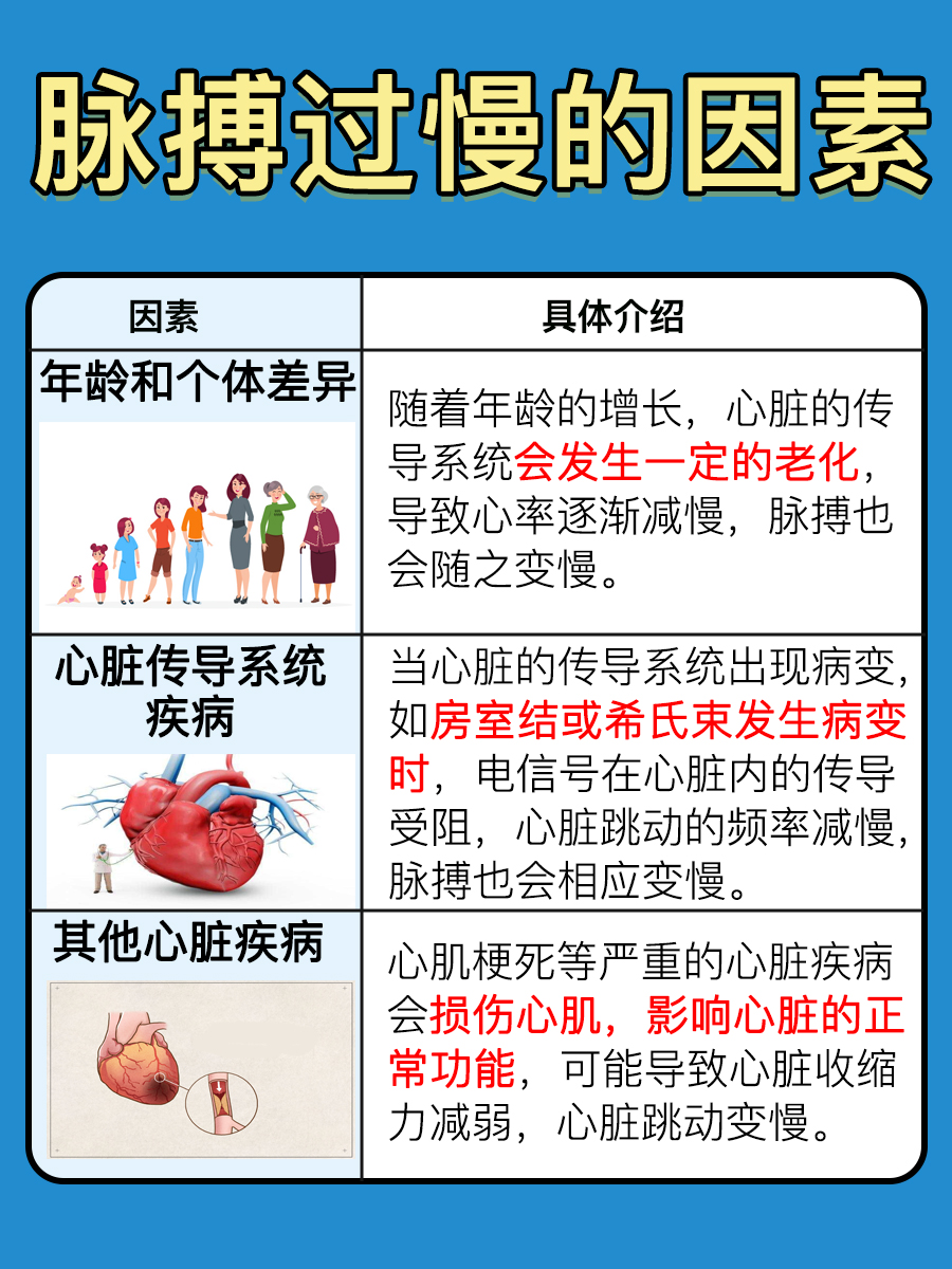 脉搏正常值你了解吗?速来围观