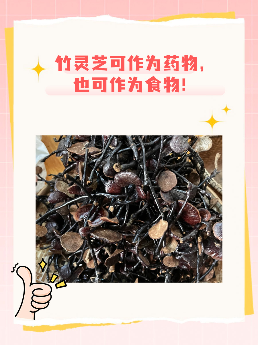 竹灵芝是长在竹林里的灵芝吗？日常怎么吃？