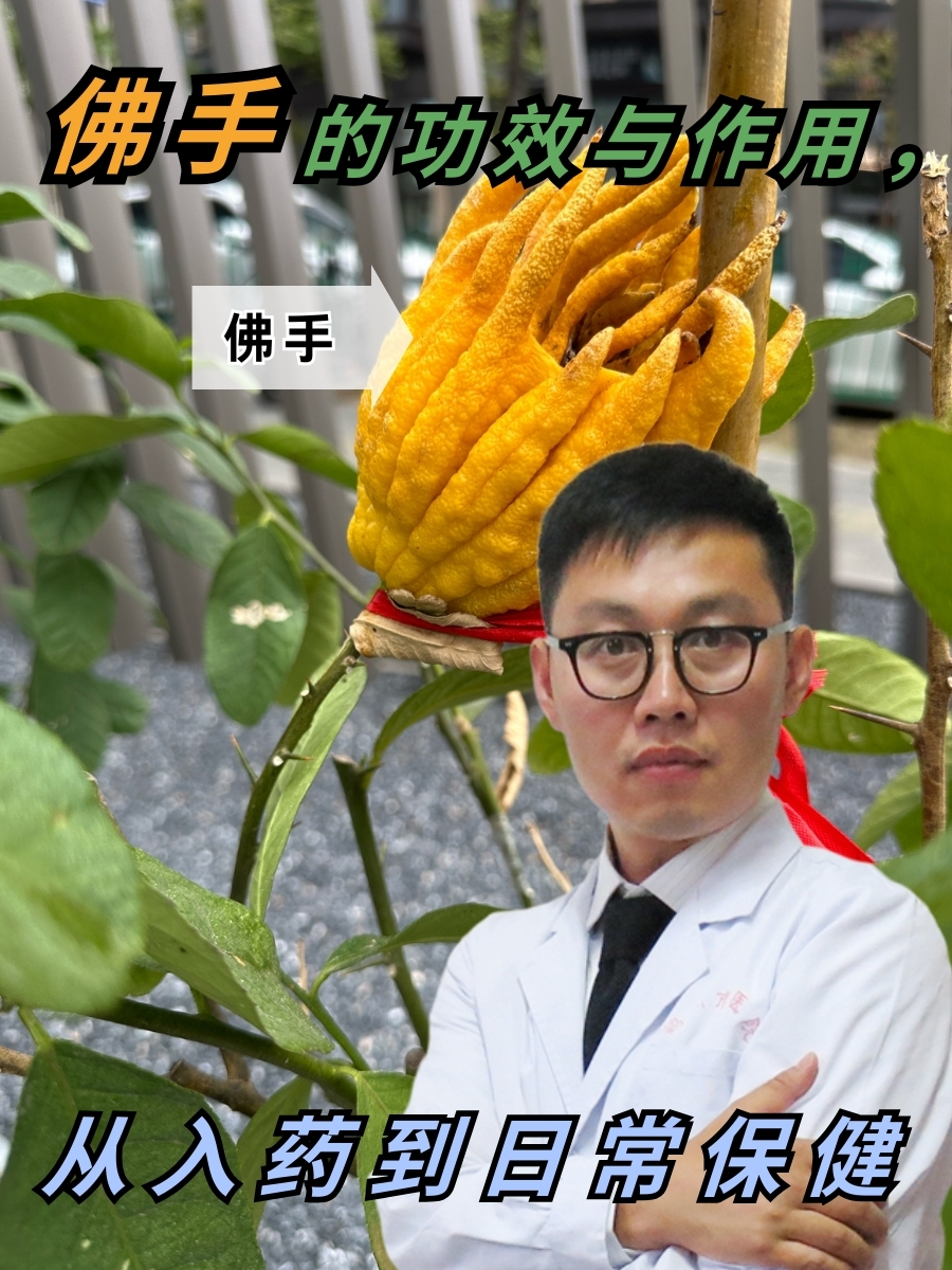 佛手的功效与作用，从入药到日常保健