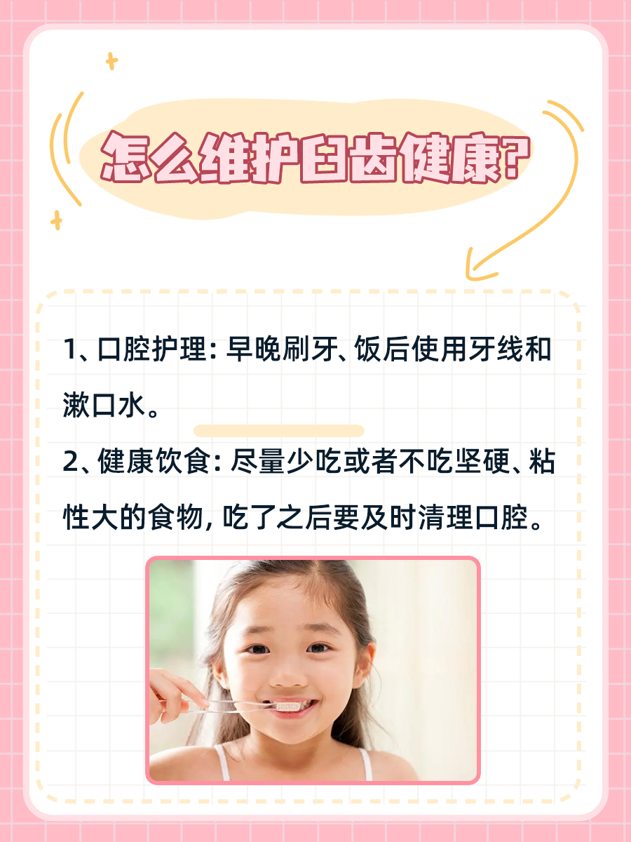 医生小课堂|什么是臼齿？