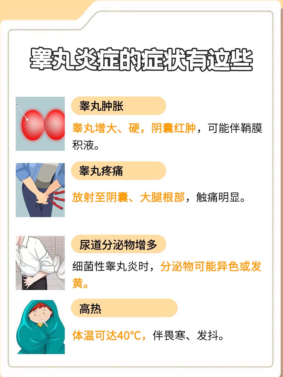 睾丸炎症有哪些症状，答案来了