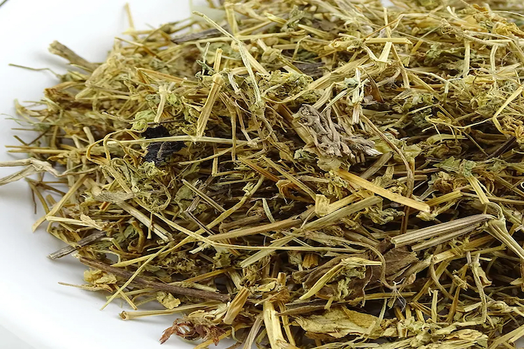 鹅肠草中药图 鹅肠草中药图