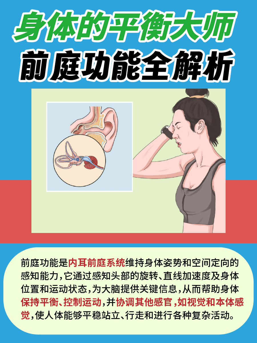 身体的平衡大师:前庭功能全解析