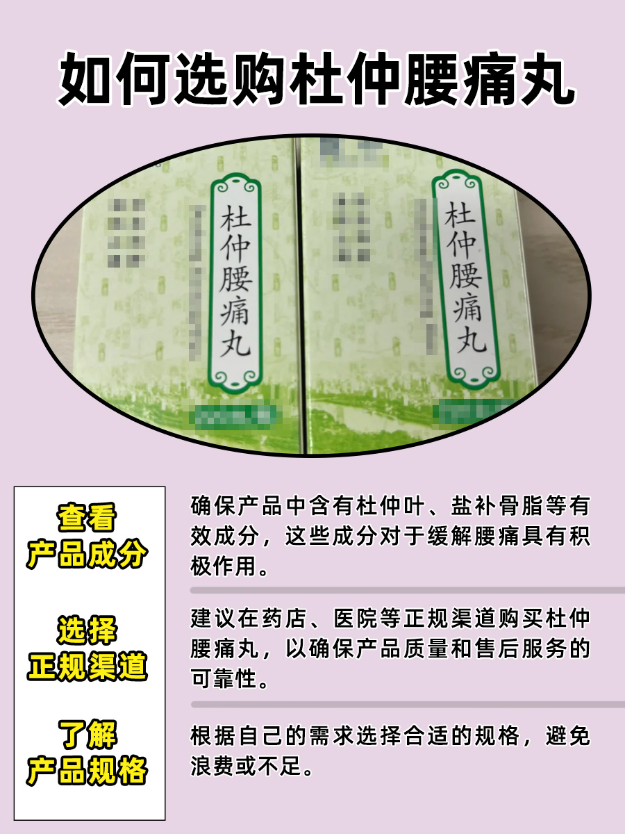 杜仲腰痛丸价格：一盒到底多少钱？