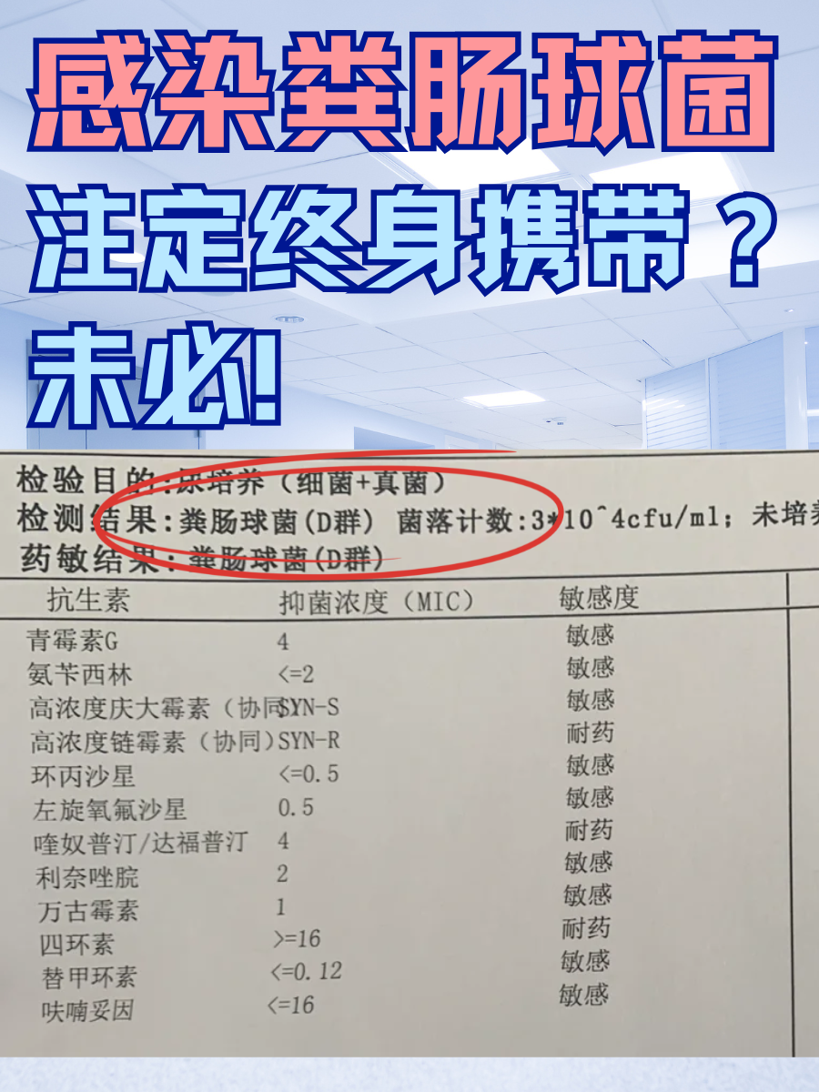 感染粪肠球菌，注定终身携带？未必！