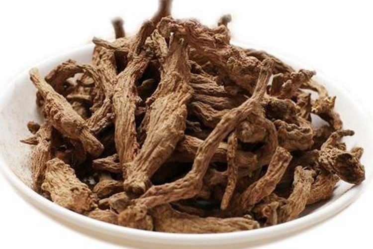 还阳参根成药图