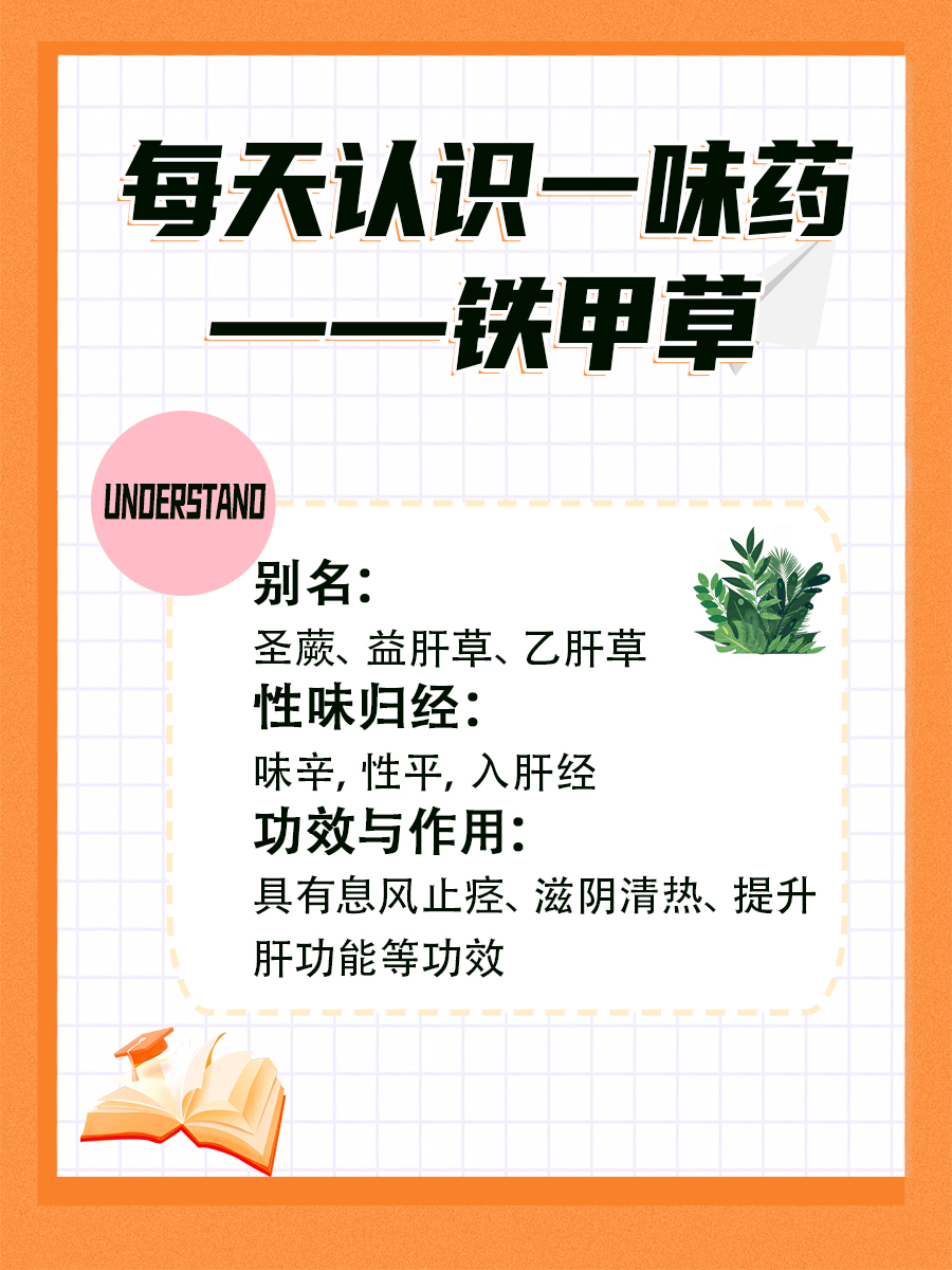 一文带你了解铁甲草的功效与作用！