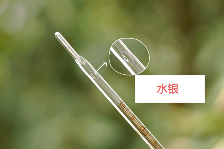 水银部位图
