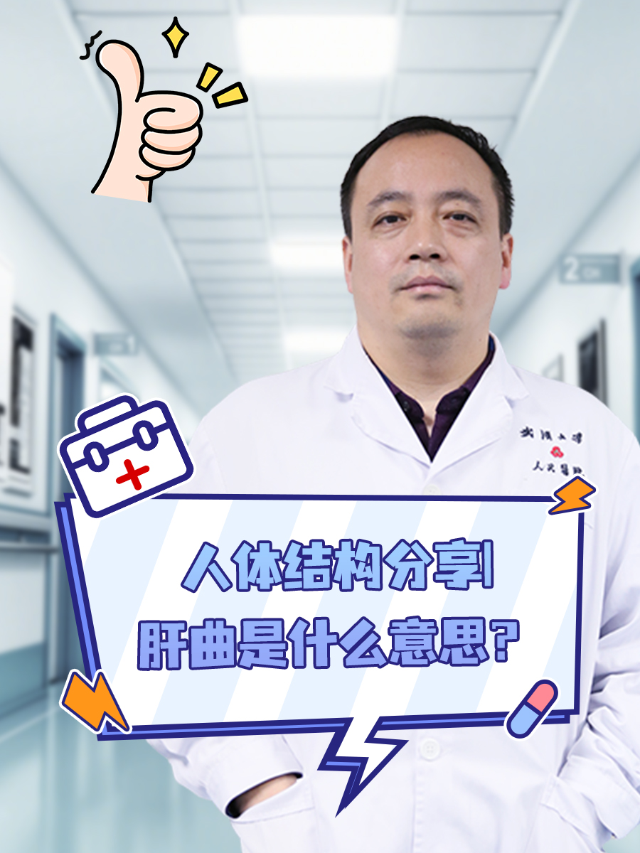 人体结构分享｜肝曲是什么意思？