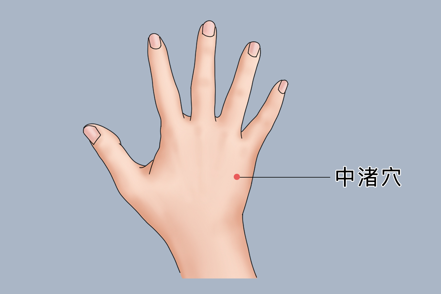 中渚穴位置图 中渚穴位置图