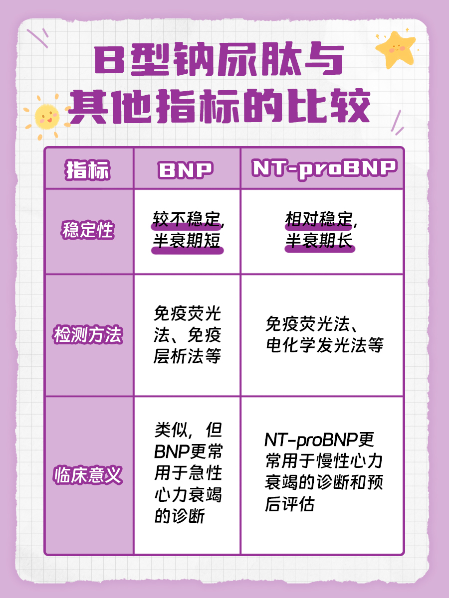 医生解析：B型钠尿肽高是什么意思