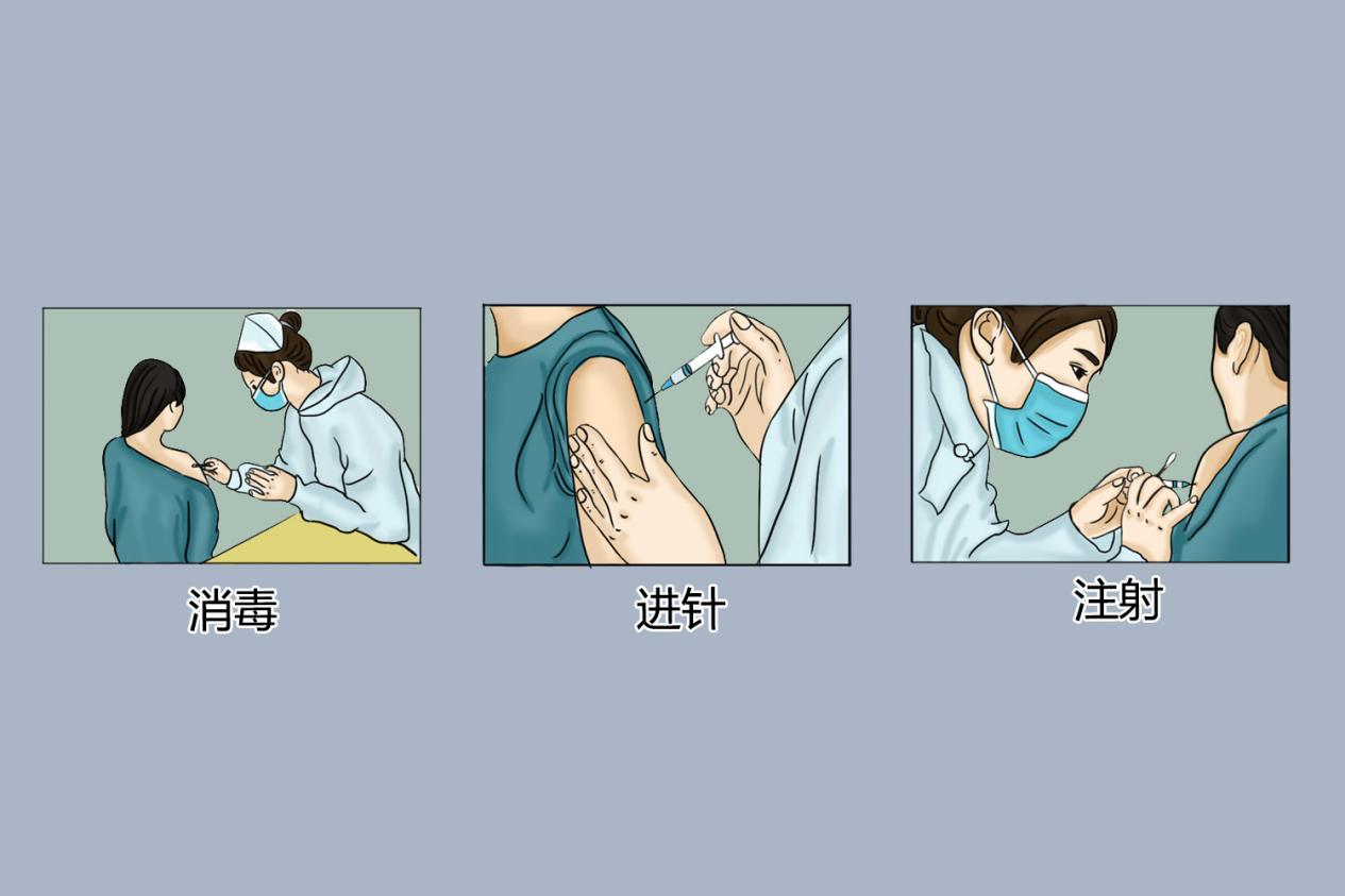 疫苗注射流程图